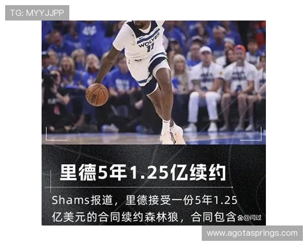 森林狼前锋里德因质疑裁判公正性被罚5万美元